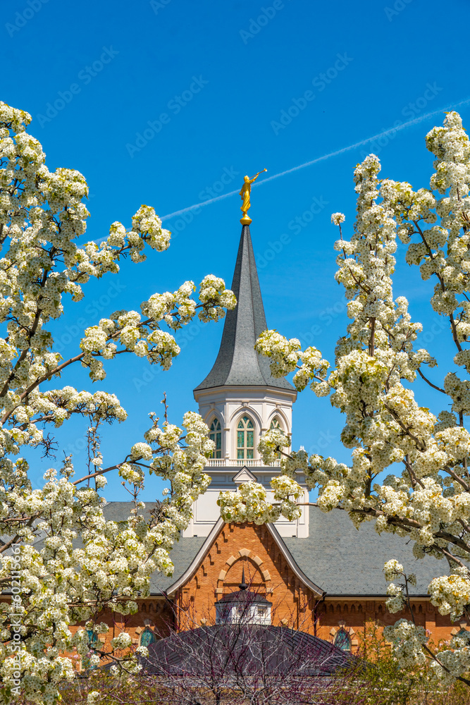 provo temple in the spring 