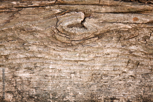 Obraz na płótnie Very old wooden surface. w salonie