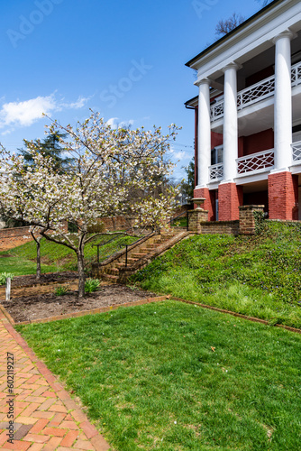 The garden behind Woodrow Wilson's boyhood home in spring.