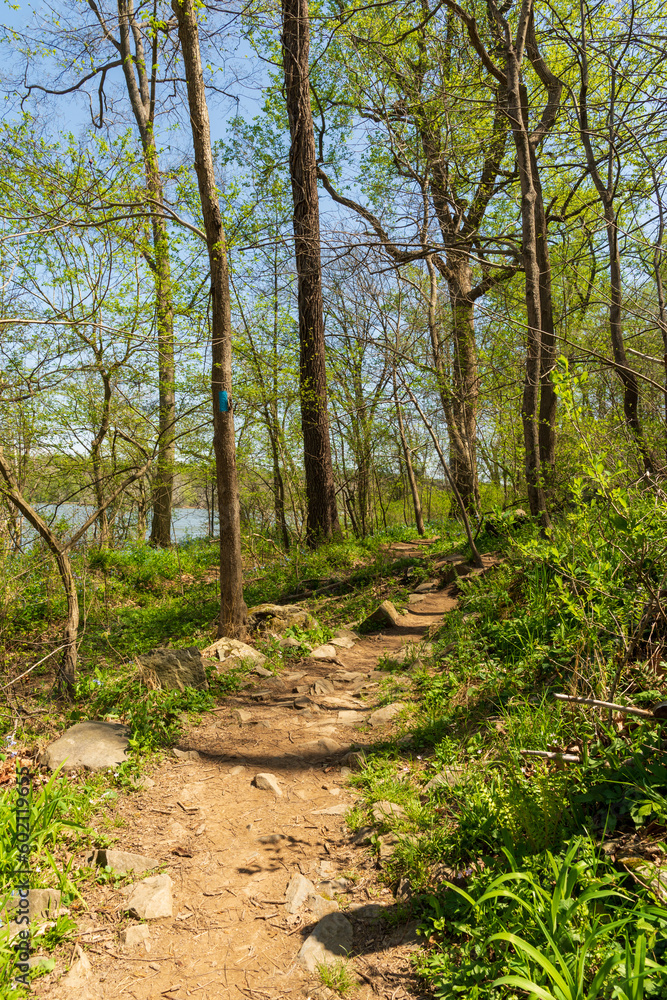 A rocky trail along the Potomac River in early spring. A rocky trail along the Potomac River in early spring.