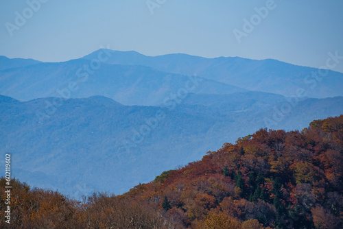 An overlook on the Blue Ridge Parkway in the North Carolina mountains, USA, in the fall.
