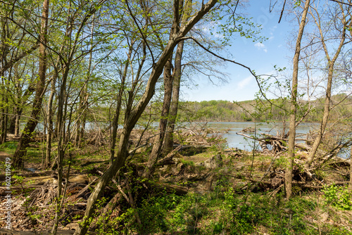 The shore of Potomac River in early spring. photo