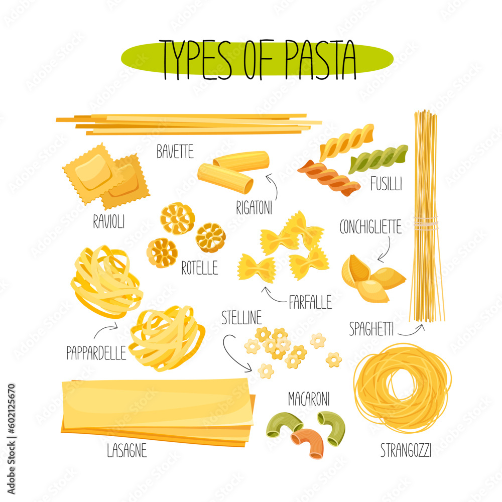 Premium Vector  Types of pasta long pasta difference illustration example