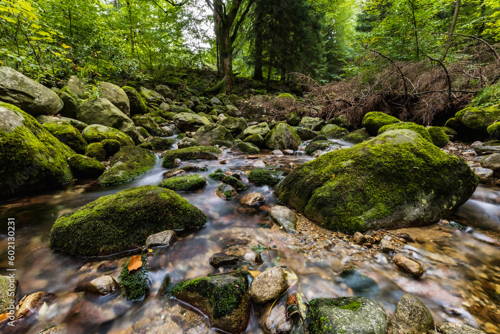 Beautiful small waterfall full of small and big rocks and stones with green trees around next to mountain trail in Giant mountains Beautiful small waterfall full of small and big rocks and stones with green trees around next to mountain trail in Giant mountains