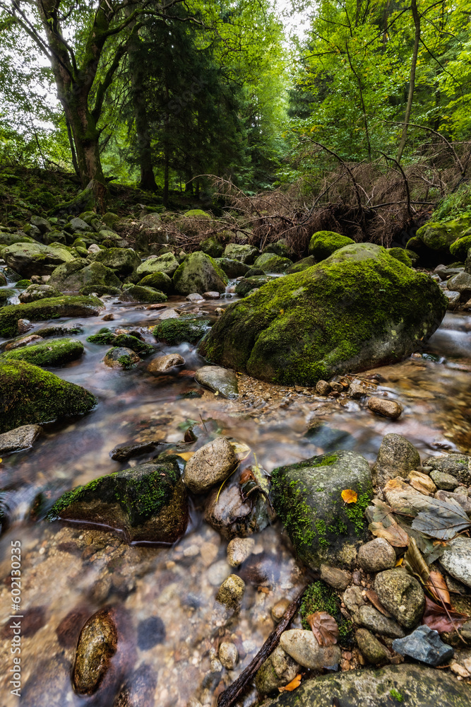 Beautiful small waterfall full of small and big rocks and stones with green trees around next to mountain trail in Giant mountains Beautiful small waterfall full of small and big rocks and stones with green trees around next to mountain trail in Giant mountains