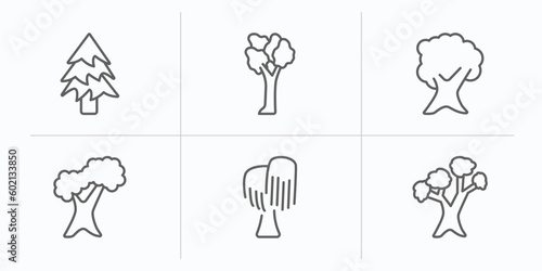 nature outline icons set. thin line icons such as balsam fir tree, american elm tree, butternut tree, northern red oak black willow eastern white pine vector.