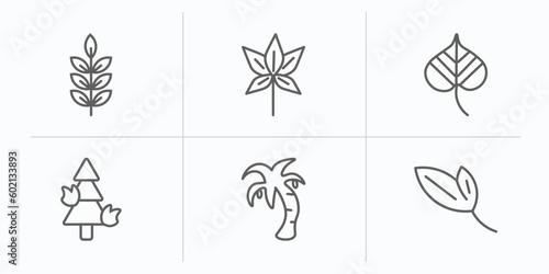 nature outline icons set. thin line icons such as american mountain ash, chestnut leaf, linden leaf, pine tree on fire, coconut tree standing, lanceolate vector.