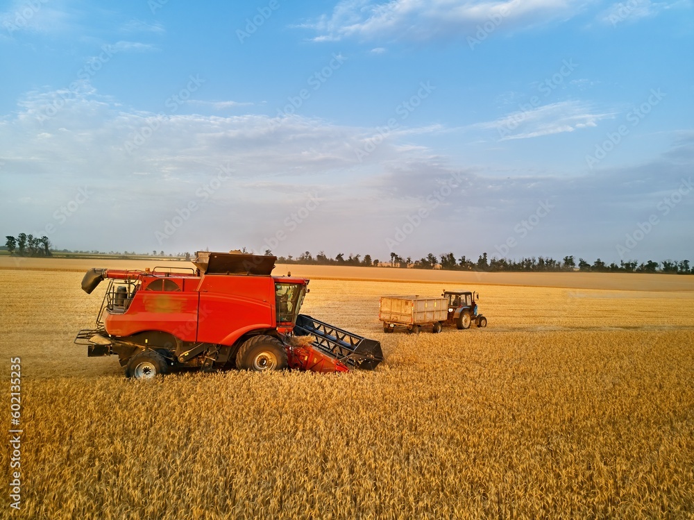 Aerial of overloading grain from combine harvester to grain box trailer in field on tractor. Harvester unloder pouring harvested wheat into a box body. Farmers at work. Agriculture, harvesting season. Aerial of overloading grain from combine harvester to grain box trailer in field on tractor. Harvester unloder pouring harvested wheat into a box body. Farmers at work. Agriculture, harvesting season.