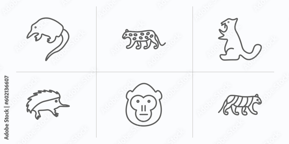 animals outline icons set. thin line icons such as desman, snow leopard, sable, echidna, orangutan, siberian tiger vector.