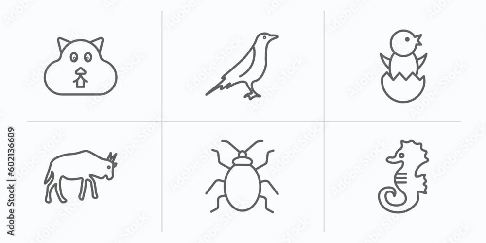 animals outline icons set. thin line icons such as wombat, raven, chick, wildebeest, bedbug, sea horse vector.