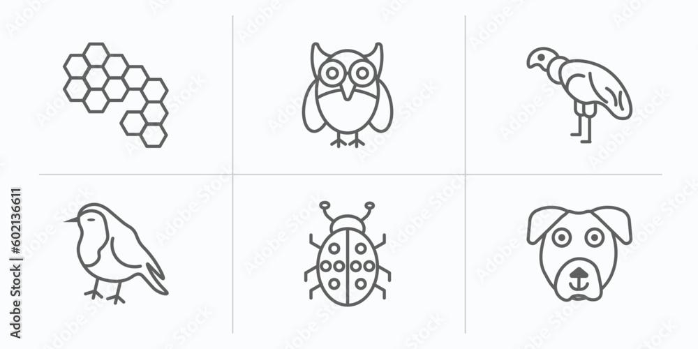 Obraz premium animals outline icons set. thin line icons such as bee hive, big eyes owl, condor, robin, ladybird, boxerhead vector.