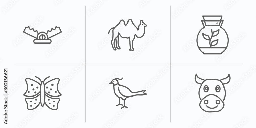 animals outline icons set. thin line icons such as trap, humps, terrarium, insect, pheasant, cows vector. animals outline icons set. thin line icons such as trap, humps, terrarium, insect, pheasant, cows vector.