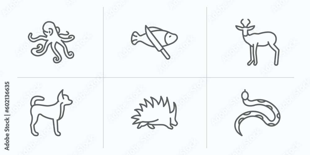 animals outline icons set. thin line icons such as aquarium octopus, fish and a knife, antelope, puppy, porcupine, copperhead vector. animals outline icons set. thin line icons such as aquarium octopus, fish and a knife, antelope, puppy, porcupine, copperhead vector.