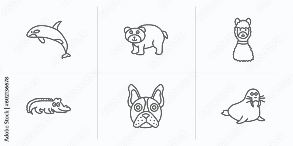 animals outline icons set. thin line icons such as grampus, bear, lama, crocodile, bulldog, walrus vector. animals outline icons set. thin line icons such as grampus, bear, lama, crocodile, bulldog, walrus vector.