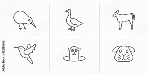 animals outline icons set. thin line icons such as kiwi bird  goose  calf  humming bird  groundhog  guinea pig vector.