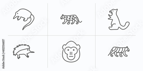 animals outline icons set. thin line icons such as desman, snow leopard, sable, echidna, orangutan, siberian tiger vector.