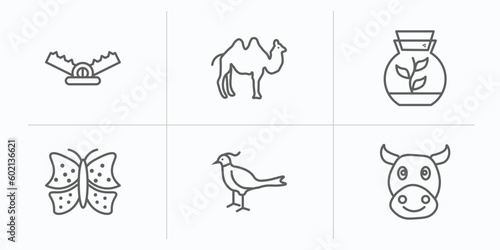 animals outline icons set. thin line icons such as trap, humps, terrarium, insect, pheasant, cows vector.