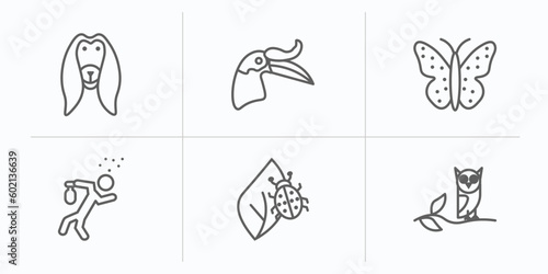 animals outline icons set. thin line icons such as afghan hound, hornbill, japanese butterfly, drunk, bug on leaf, wise vector.