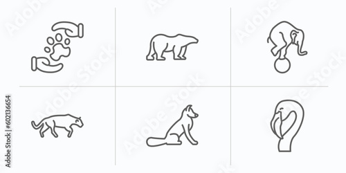 animals outline icons set. thin line icons such as pet care, polar bear, elephant on a ball, panther, fox sitting, flamingo vector.