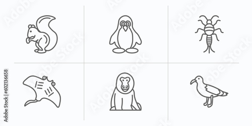 animals outline icons set. thin line icons such as squirrel, penguin, silverfish, ray, baboon, albotros vector. photo