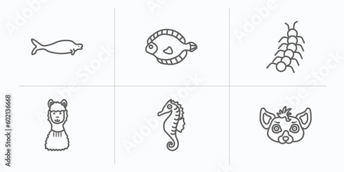 animals outline icons set. thin line icons such as sea cow, flounder, centipede, llama, seahorse, hyena vector.