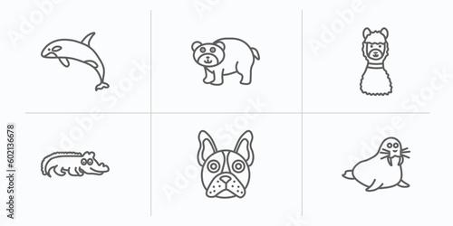animals outline icons set. thin line icons such as grampus, bear, lama, crocodile, bulldog, walrus vector.