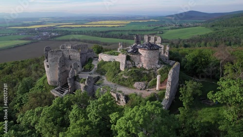 Aerial view of Oponice castle, Slovakia photo