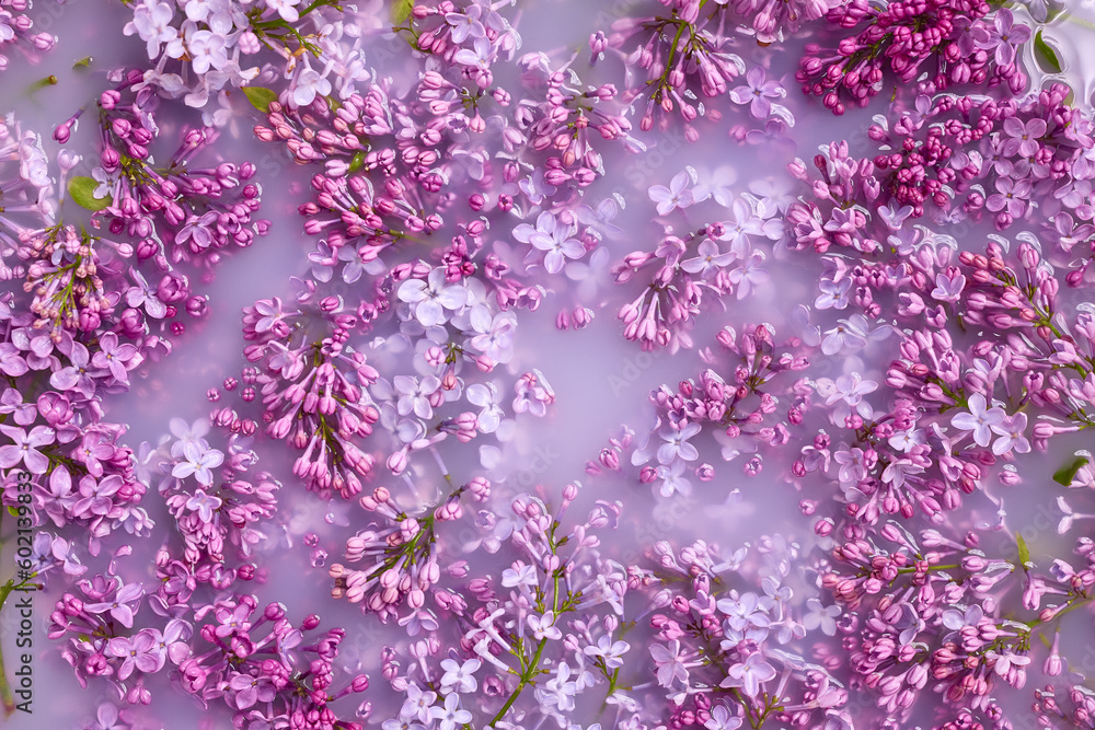 Branches of blossoming lilac float in milk. Copy space, flat lay. The concept of purity, tenderness, freshness, youth. Summer mood.