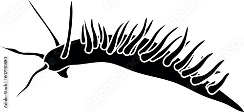 Black silhouette of aeolid nudibranch isolated on white background