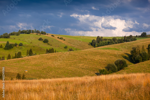 Kacwin i okolice - Bacówka i krajobraz Spiszu.  Piękny krajobraz wiejskich pól.  © rogozinski