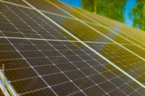 Solar panels close up outside next to a forest trees in a sunny day