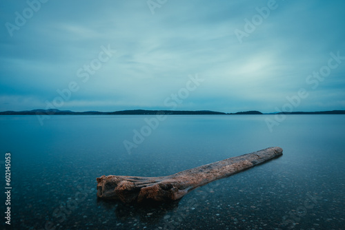 San Juan Island Lopez beach driftwood