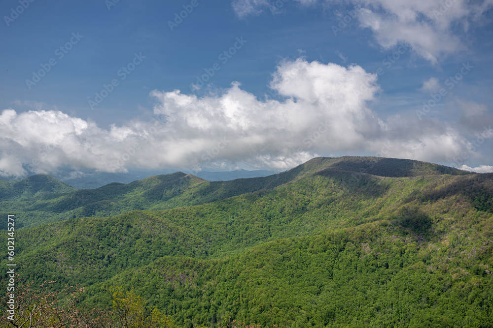 pickens nose NC