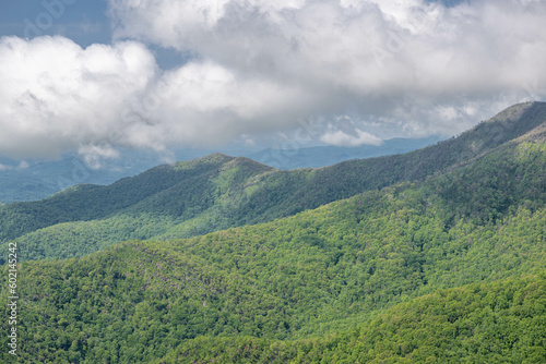 pickens nose NC