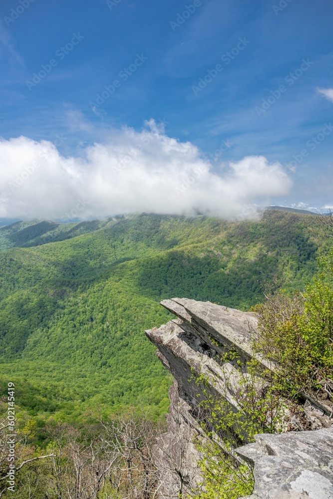 pickens nose NC