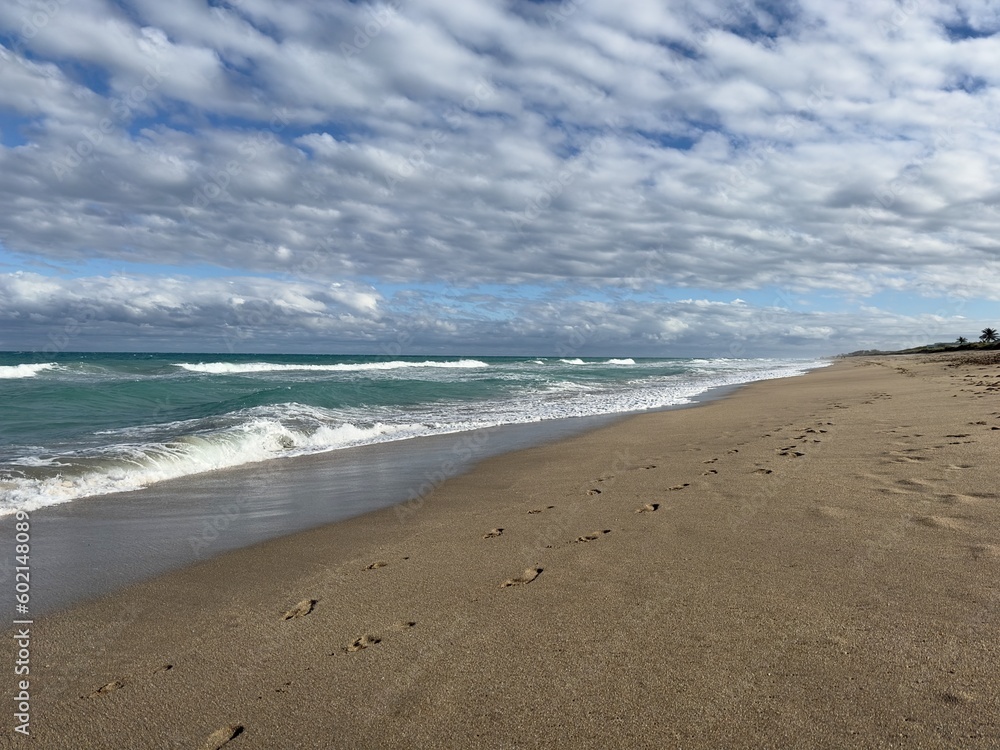 beach in the morning