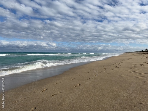 beach in the morning