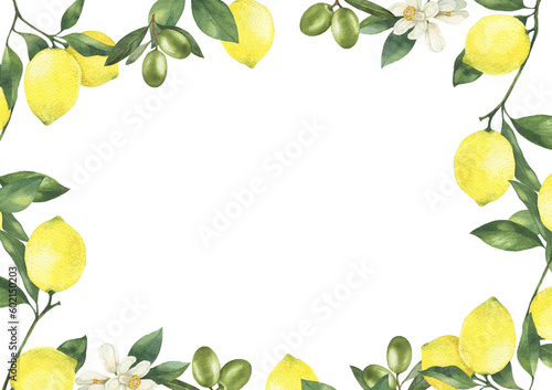 Lemons with leaves and olives hand drawn watercolor illustration. Lemon frame isolated on white