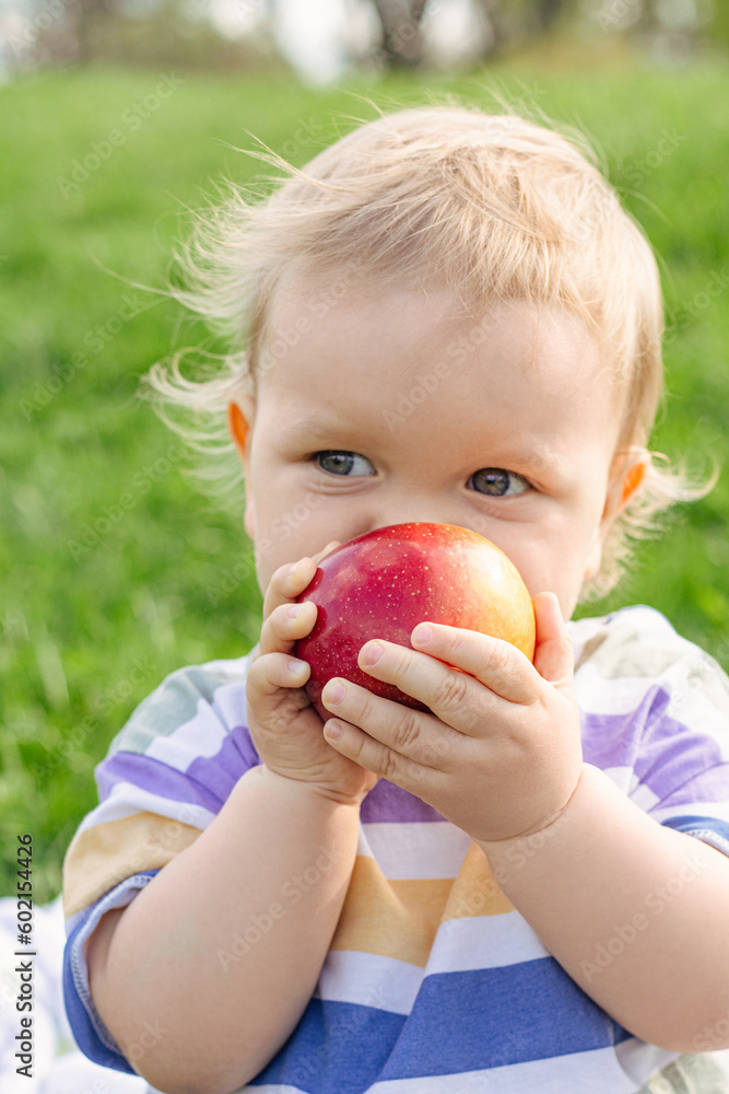 Cute little toddler boy eating ripe red apple outdoor Cute little toddler boy eating ripe red apple outdoor