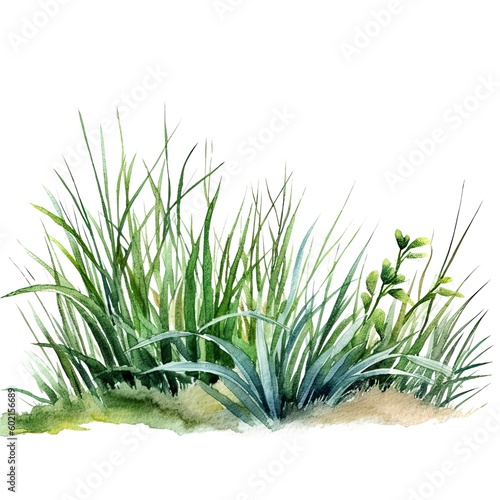 Watercolor green grass. Illustration AI Generative.