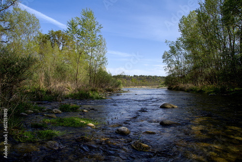 river in the forest of national park in Italy