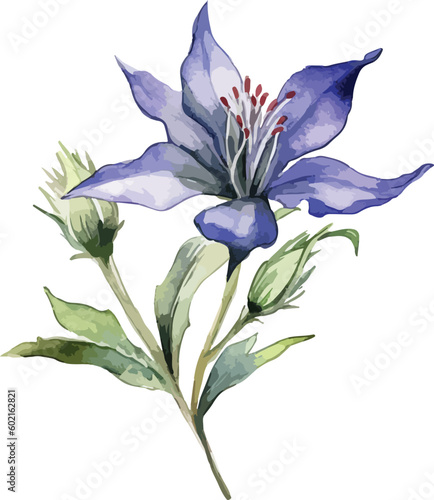 Gentiana flower clipart, isolated vector illustration.