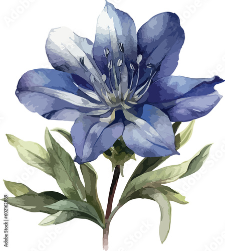 Gentiana flower clipart, isolated vector illustration.