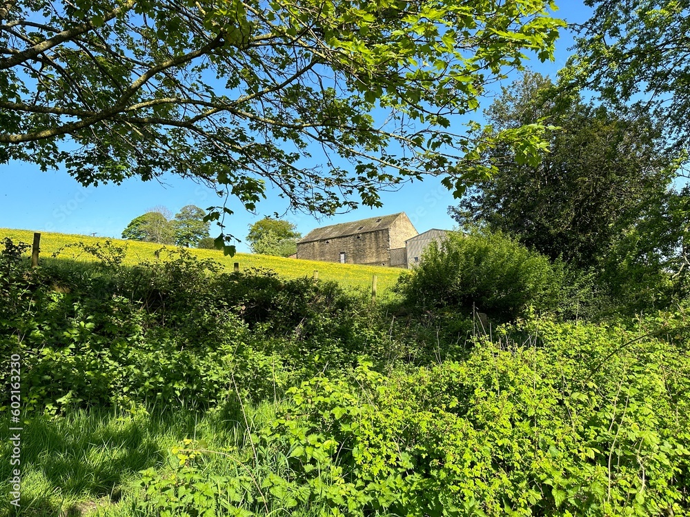 View past wild plants, trees, and fields, with an old stone barn, on the horizon, set against a blue sky near, Shelf, Halifax View past wild plants, trees, and fields, with an old stone barn, on the horizon, set against a blue sky near, Shelf, Halifax