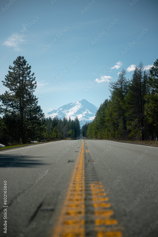 Naklejka premium Road Leading To Mount Shasta