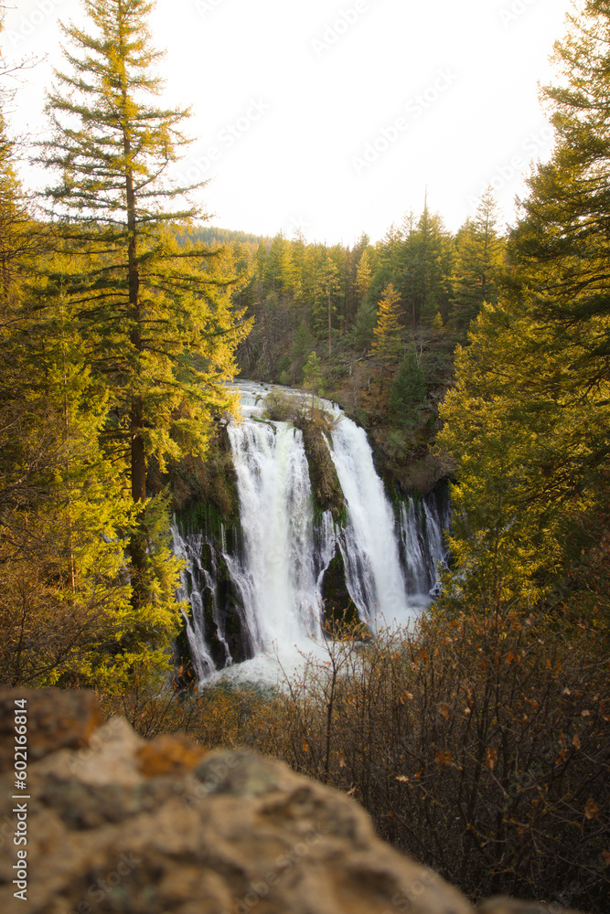 Burnley Falls Waterfall in the Forest Burnley Falls Waterfall in the Forest