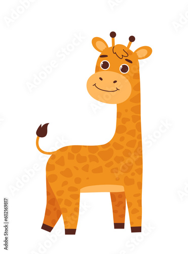 Cute safari giraffe