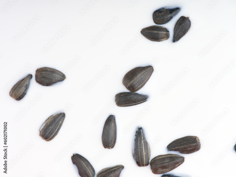 Abstract background of white liquid and small black objects floating in it. Closeup. View from above Abstract background of white liquid and small black objects floating in it. Closeup. View from above