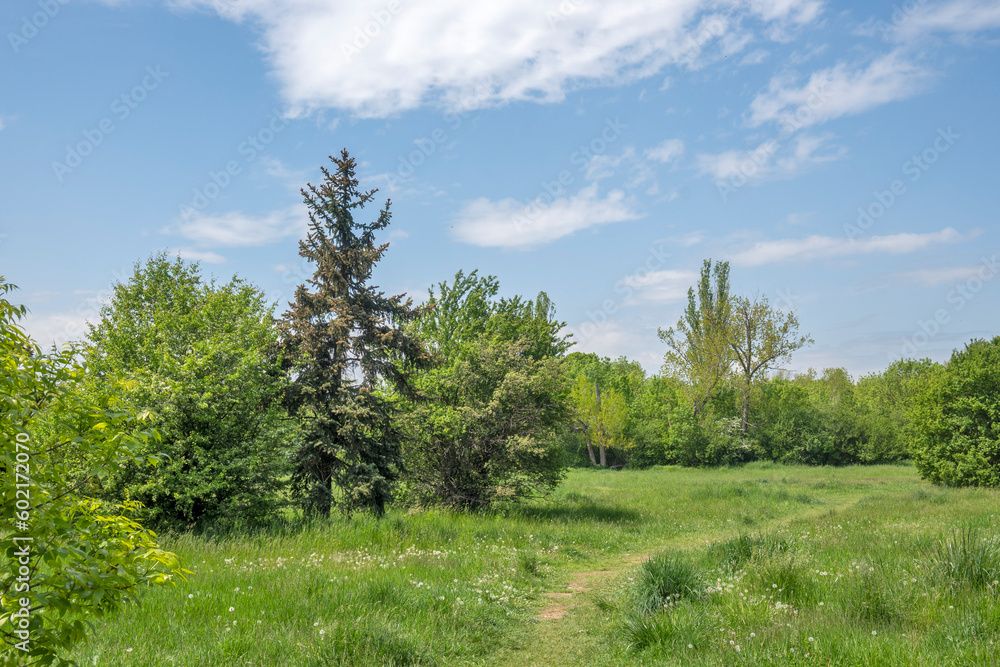 Spring view of South Park in city of Sofia, Bulgaria