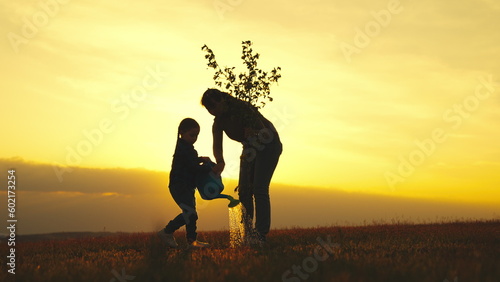 fresh tree seedling sunset  young roots  soil ground  plant garden  silhouette happiness family mother child  garden  sunlight  happy big family  gardener work  happy family silhouette  growing